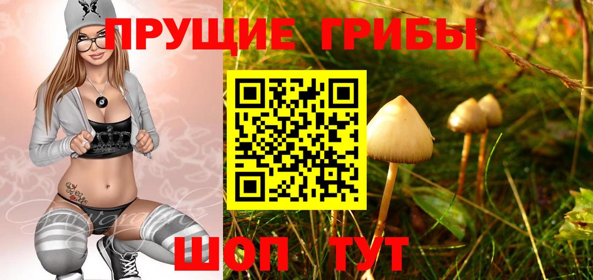 Псилоцибиновые грибы мухоморы  Вход с VPN  Верхний Уфалей  закладка  Галлюциногенные грибы Psilocybine cubensis 
